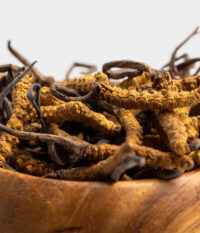 Cordyceps (यार्सागुम्बा)
