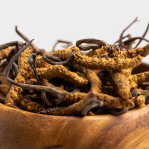 Cordyceps (यार्सागुम्बा)