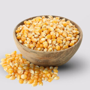 Yellow Corn (पहेंलो मकै)